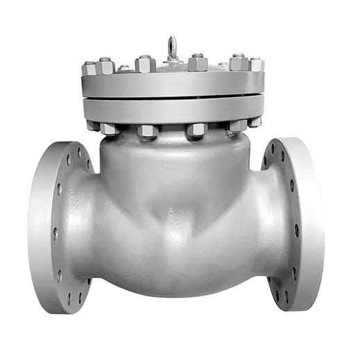  Non Return Valves